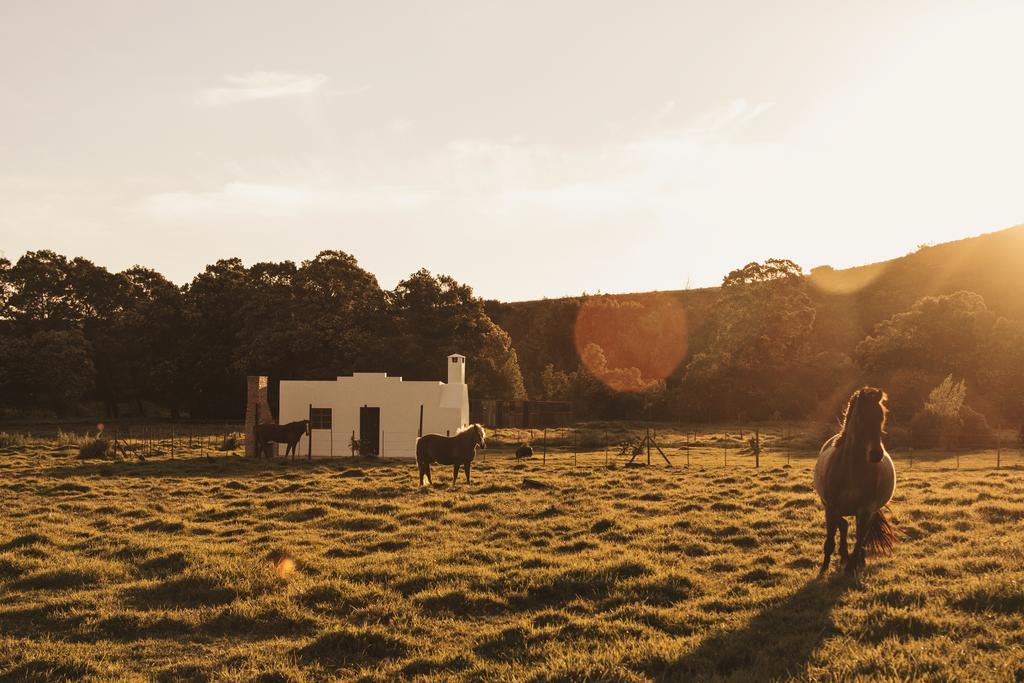 Willa Hermitage Huisies Swellendam Zewnętrze zdjęcie